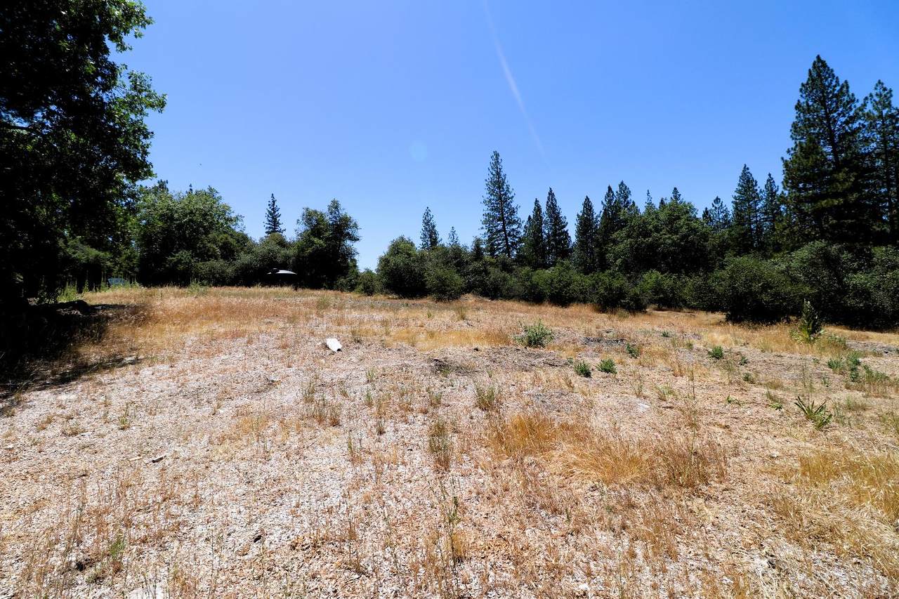 https://bt-photos.global.ssl.fastly.net/sacramento/1280_boomver_2_560633391-2.jpg