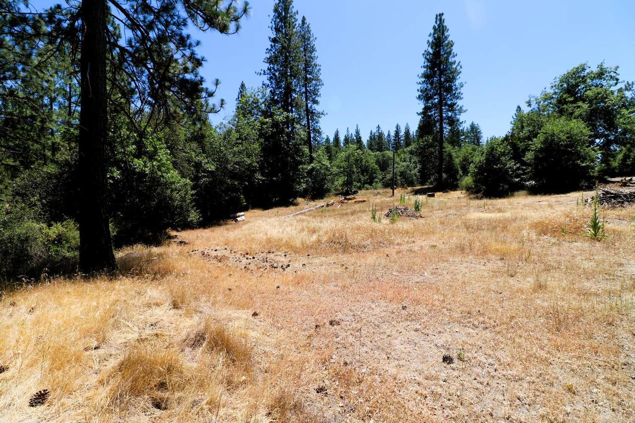 https://bt-photos.global.ssl.fastly.net/sacramento/1280_boomver_2_560633391-2.jpg