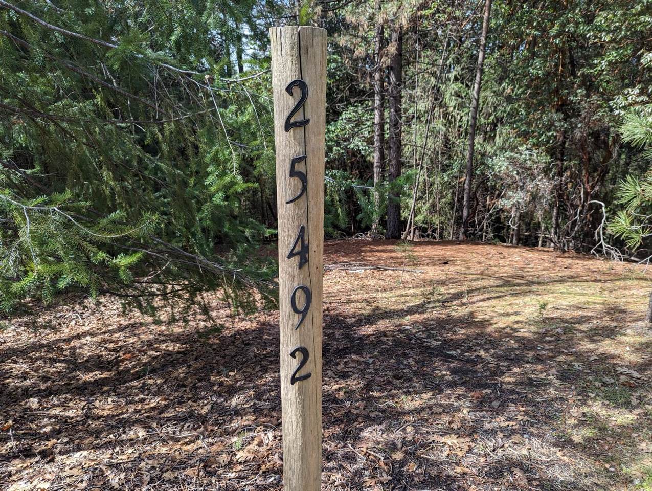 25492 Meadow Drive - Photo 1