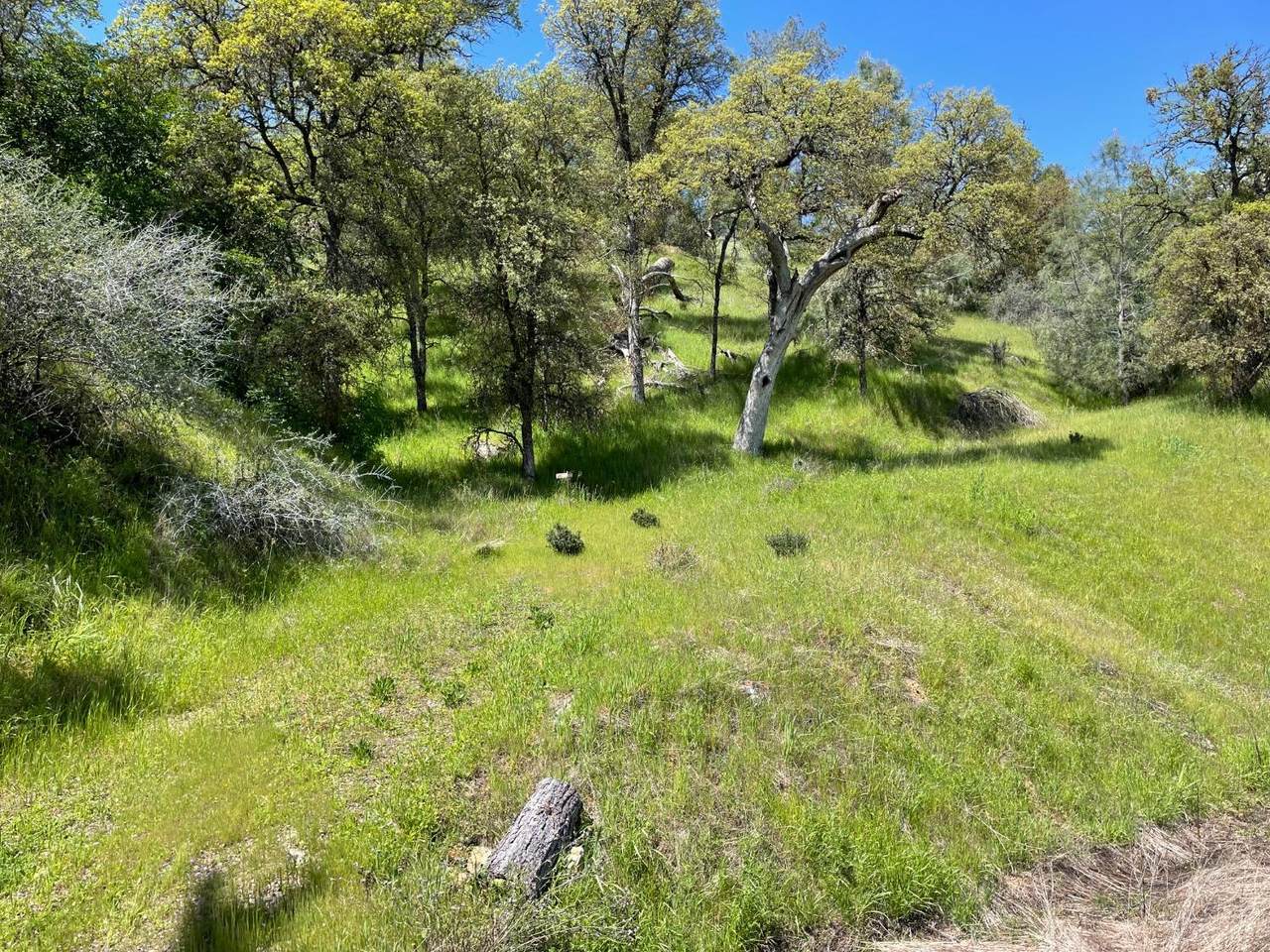 2993 Granite Springs Road - Photo 1