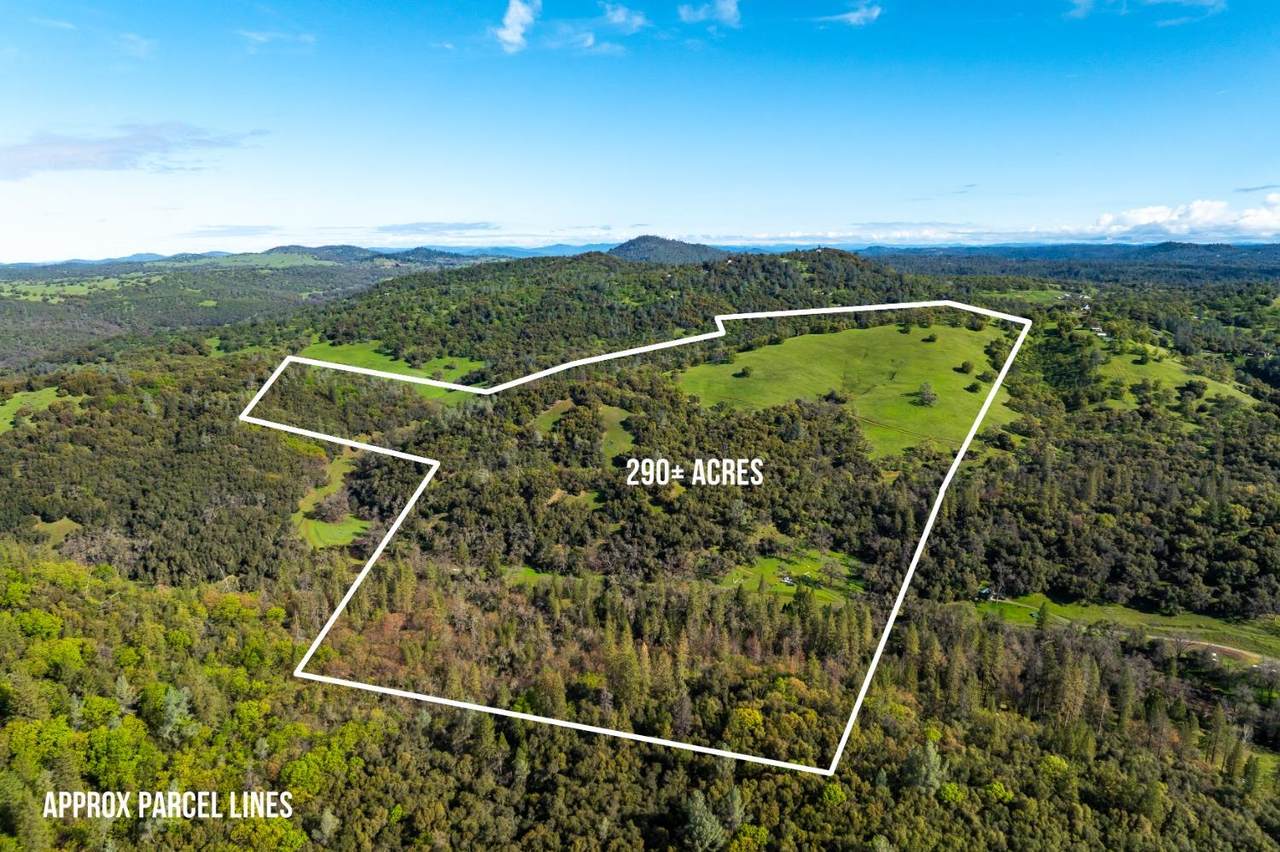 12786 Perimeter Road - Photo 1