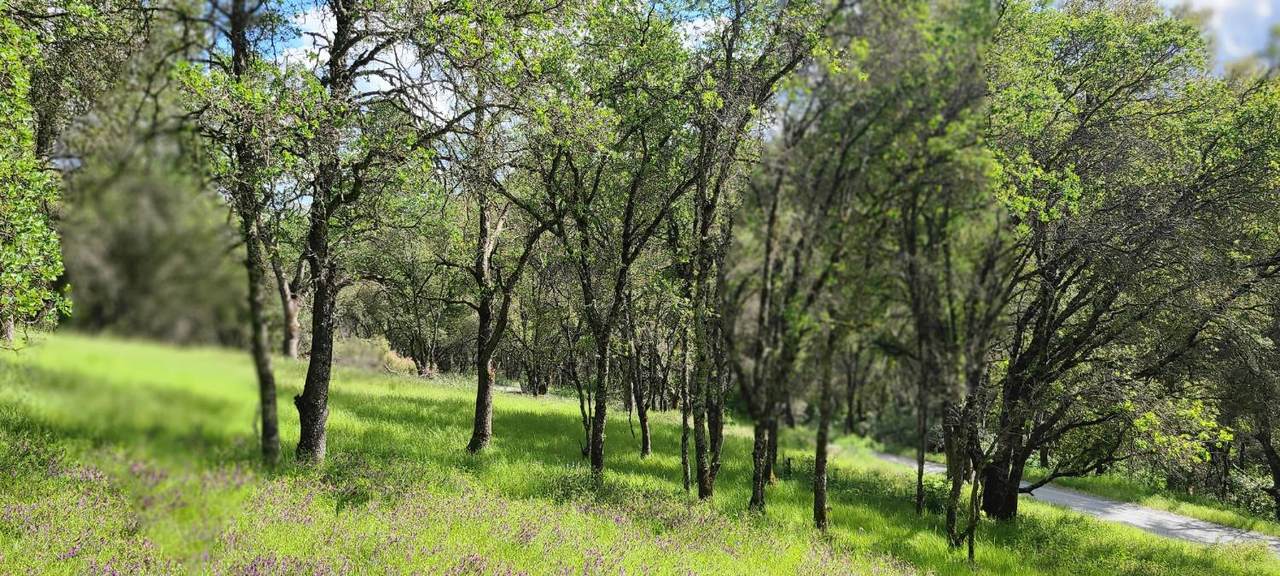 7300 Chalet Way - Photo 1