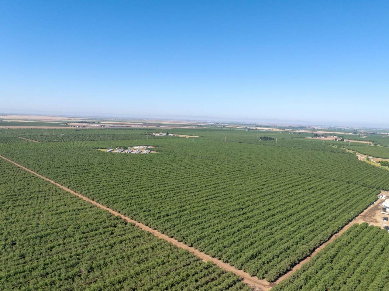 6552 Mariposa Way - Photo 1