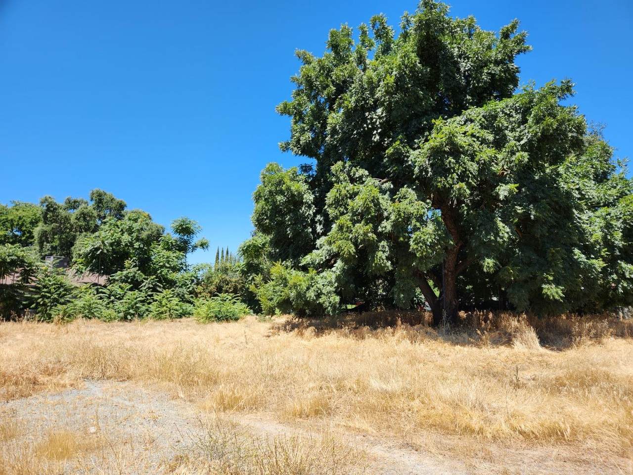 400 Pedersen Road - Photo 1