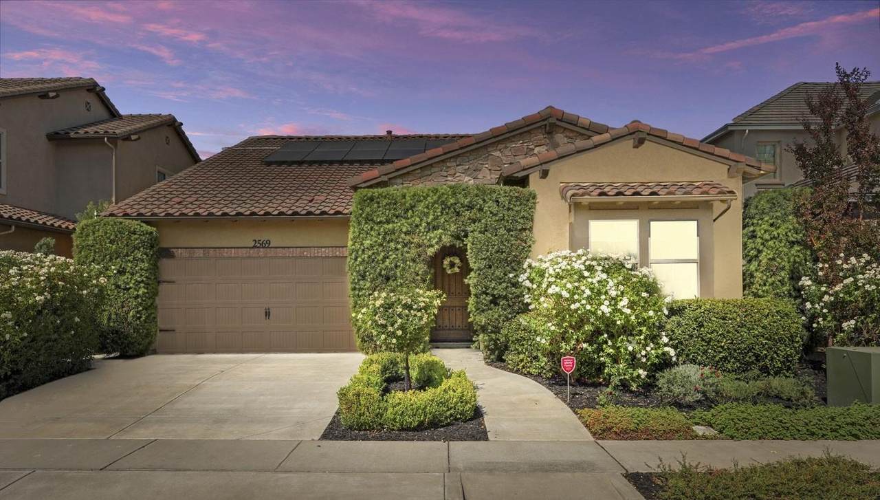 2569 Buttercup Drive - Photo 1