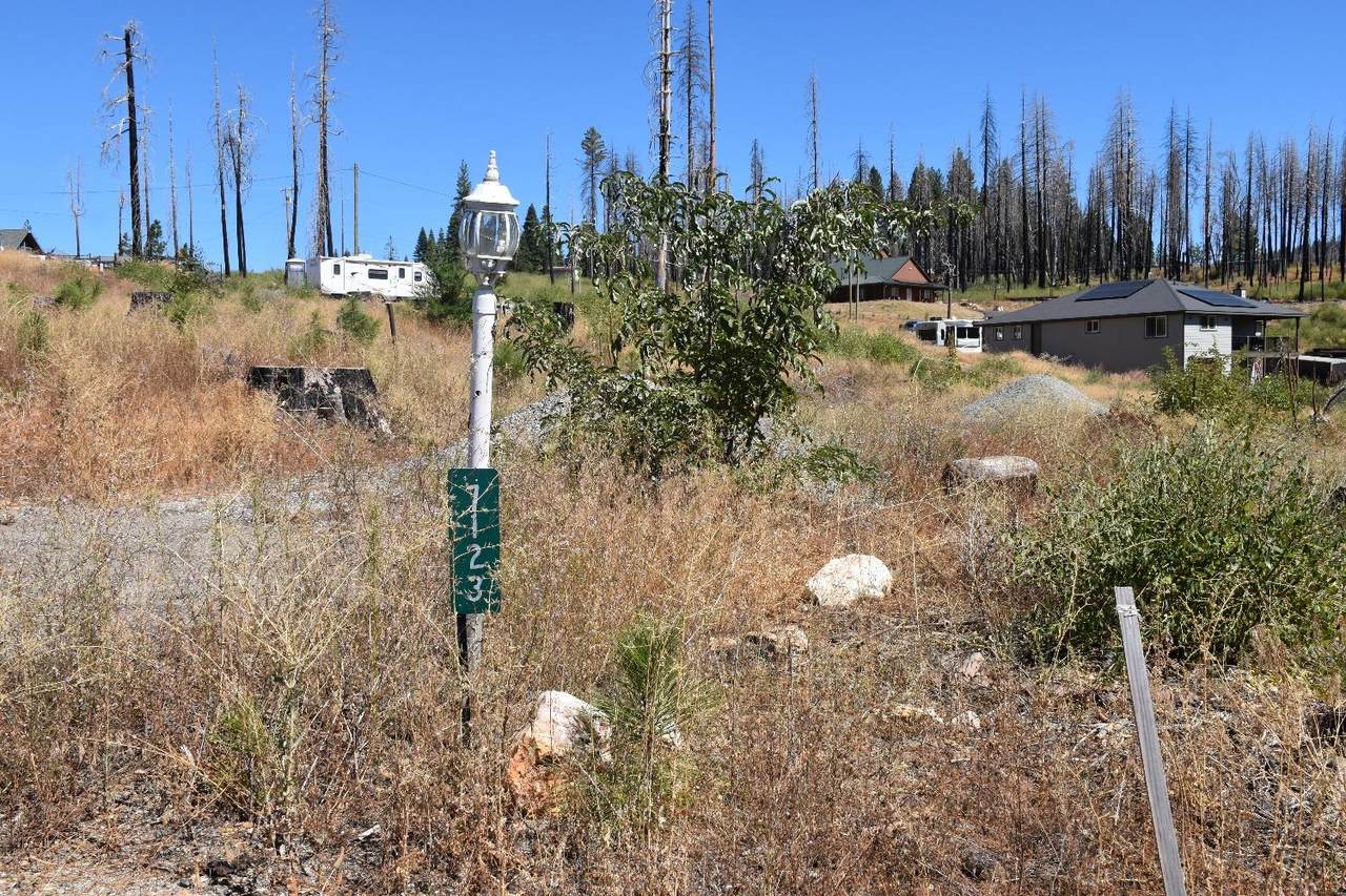 7123 Winding Way - Photo 1