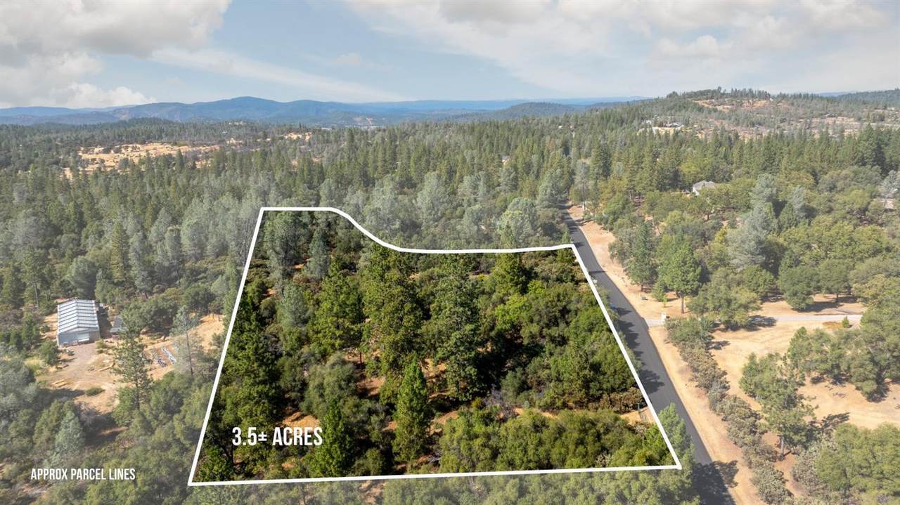 12600 Lowhills Road - Photo 1