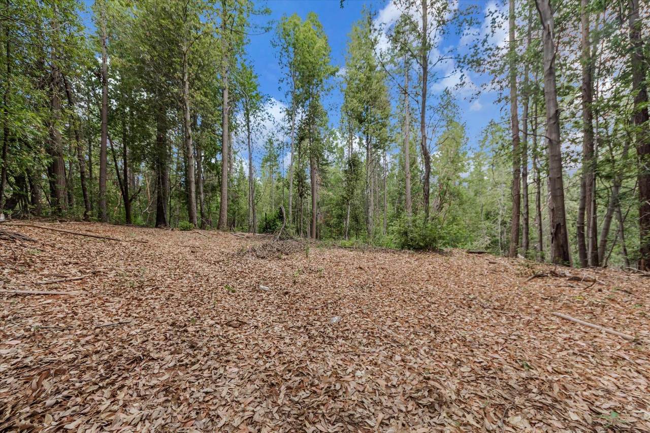 9113 Hiatt Lane - Photo 1