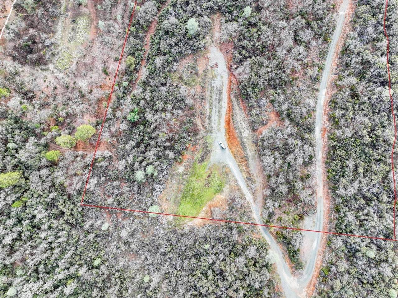 13684 Ponderosa Way - Photo 1