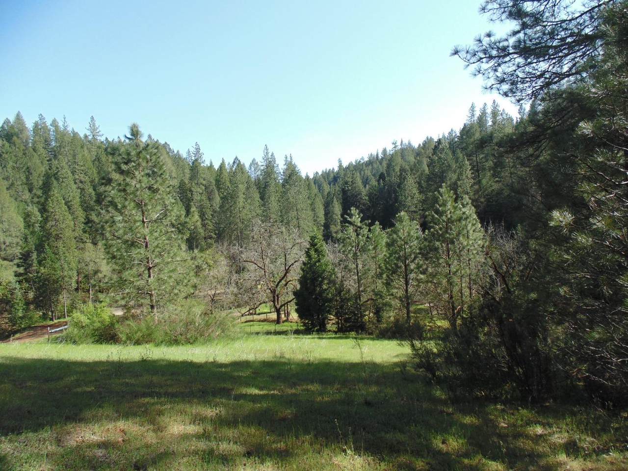 6001 Bear Creek Road - Photo 1