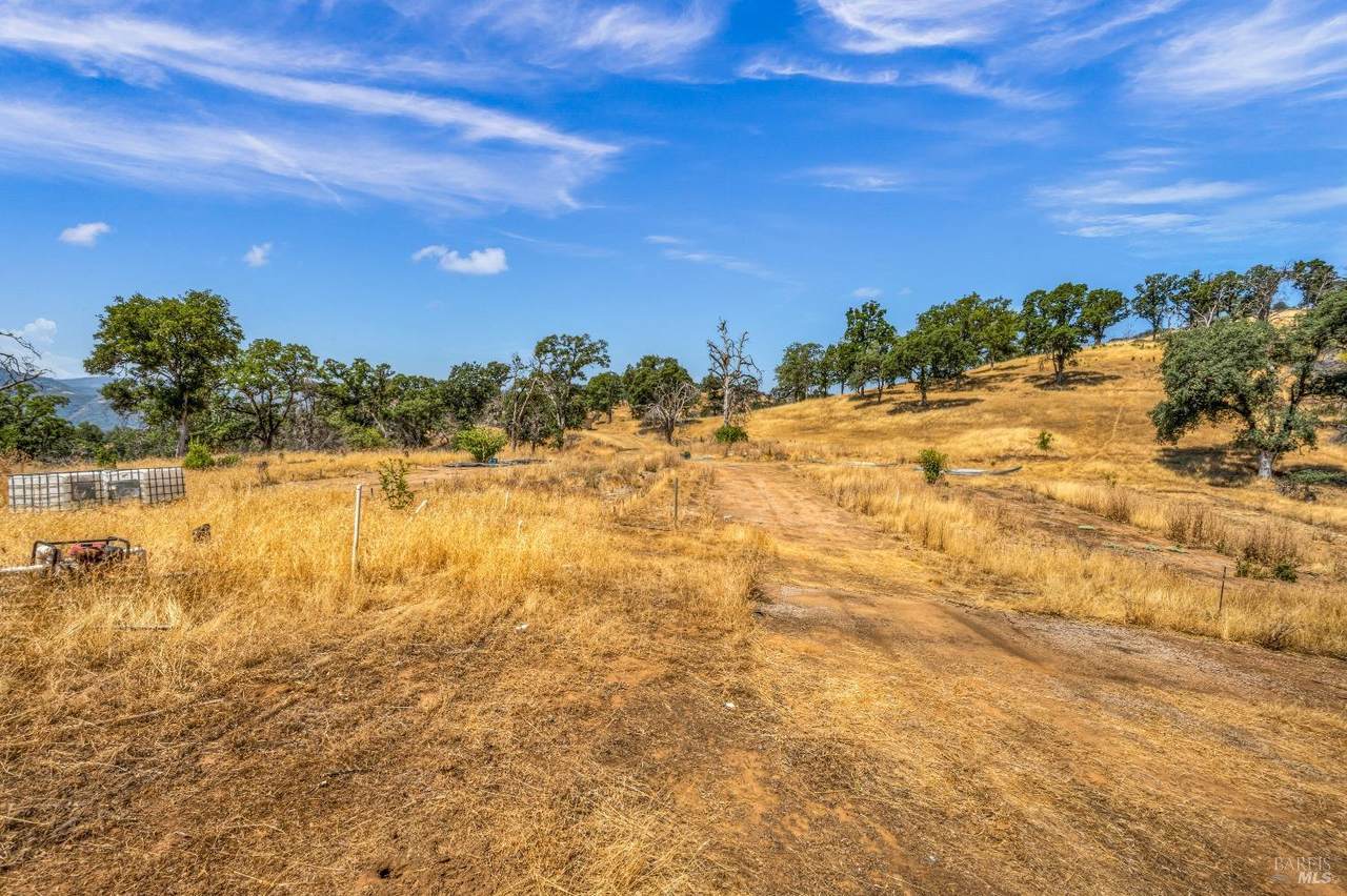 https://bt-photos.global.ssl.fastly.net/sacramento/1280_boomver_1_560784834-2.jpg