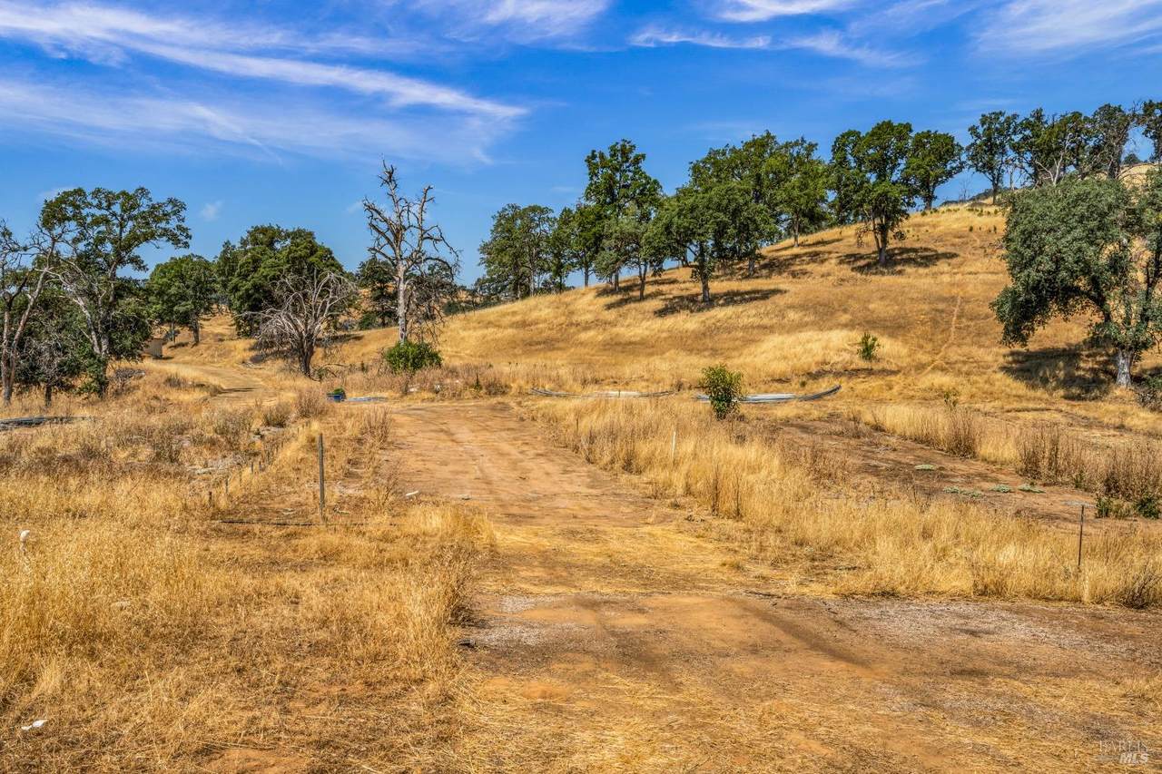 https://bt-photos.global.ssl.fastly.net/sacramento/1280_boomver_1_560784834-2.jpg