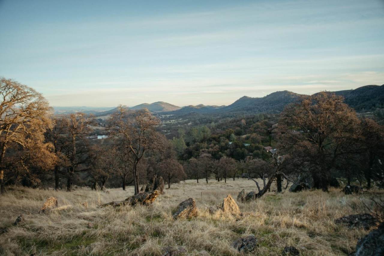 https://bt-photos.global.ssl.fastly.net/sacramento/1280_boomver_1_560787729-2.jpg