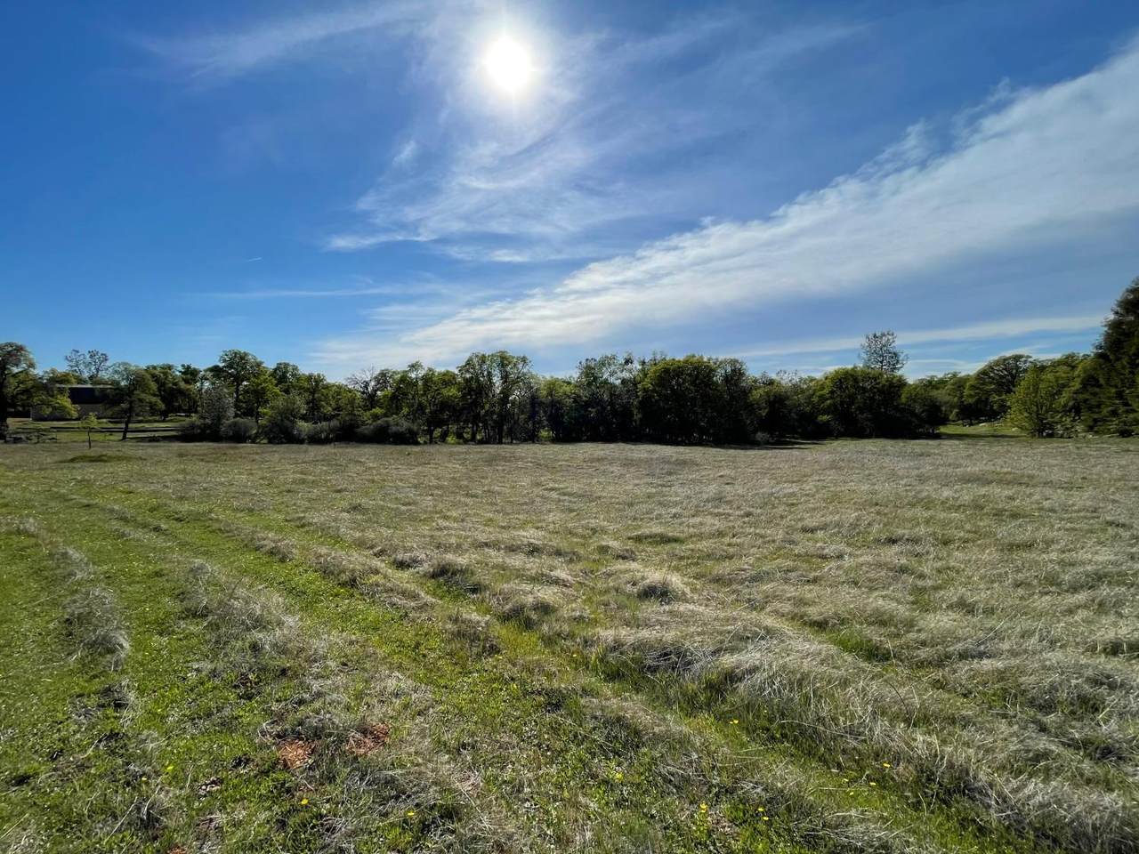 https://bt-photos.global.ssl.fastly.net/sacramento/1280_boomver_1_560797802-2.jpg