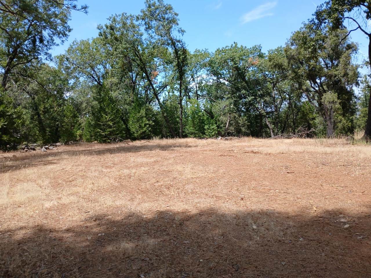 https://bt-photos.global.ssl.fastly.net/sacramento/1280_boomver_1_560803880-2.jpg