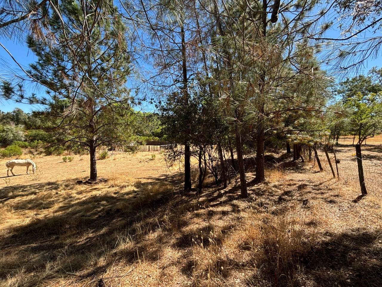 https://bt-photos.global.ssl.fastly.net/sacramento/1280_boomver_1_560807634-2.jpg