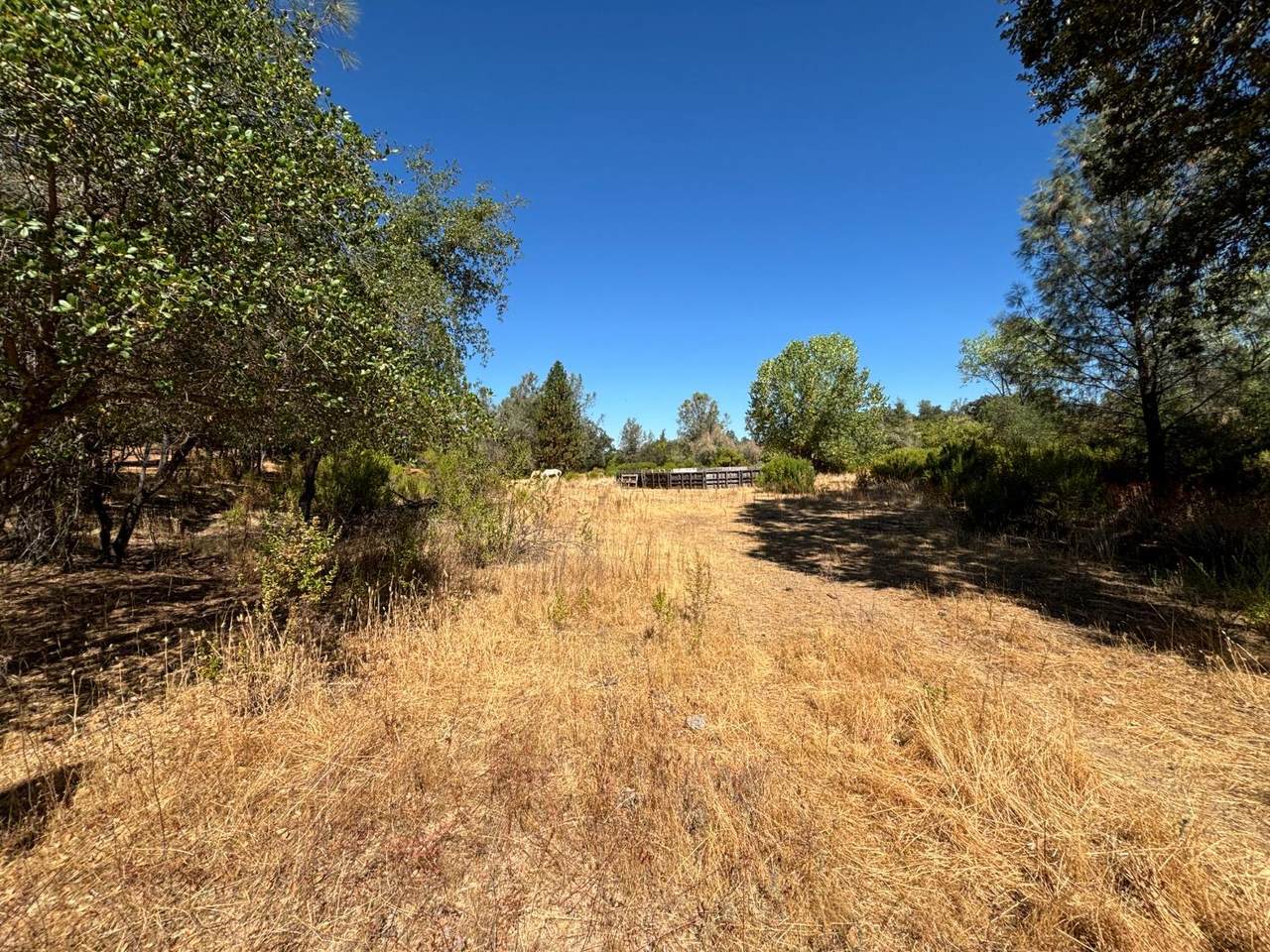 https://bt-photos.global.ssl.fastly.net/sacramento/1280_boomver_1_560807634-2.jpg