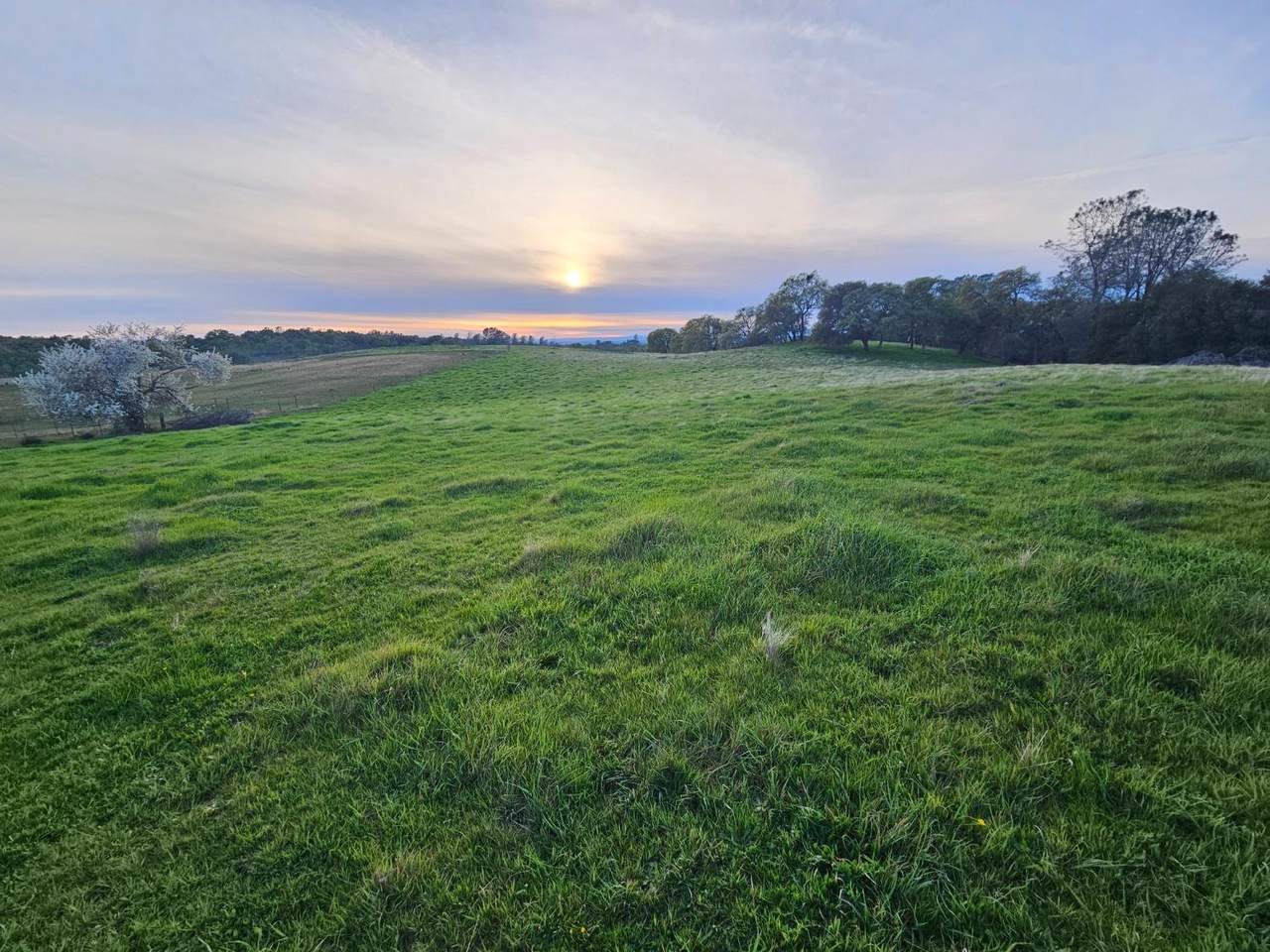 0 Oak Valley Drive - Photo 1