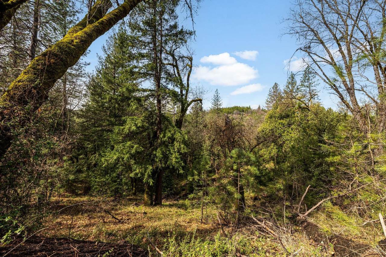https://bt-photos.global.ssl.fastly.net/sacramento/1280_boomver_1_560820555-2.jpg