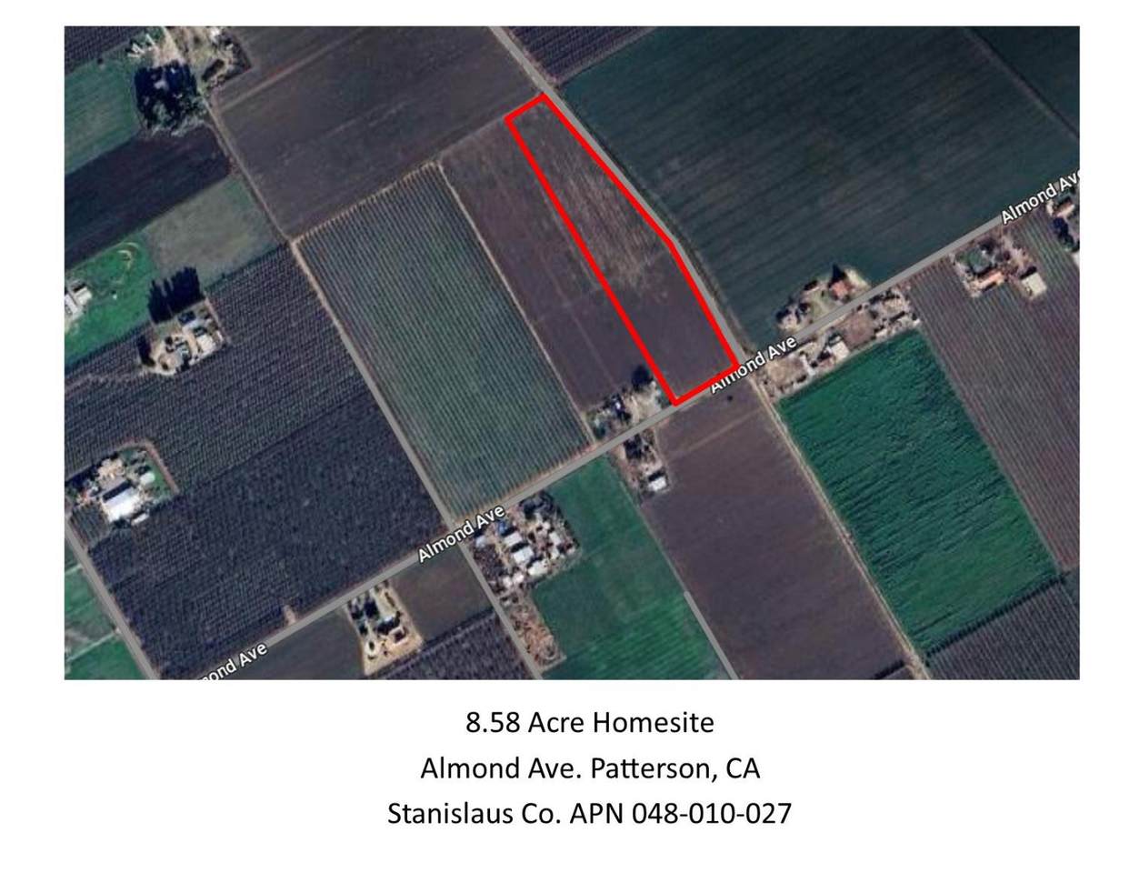 1445 Almond - Photo 1