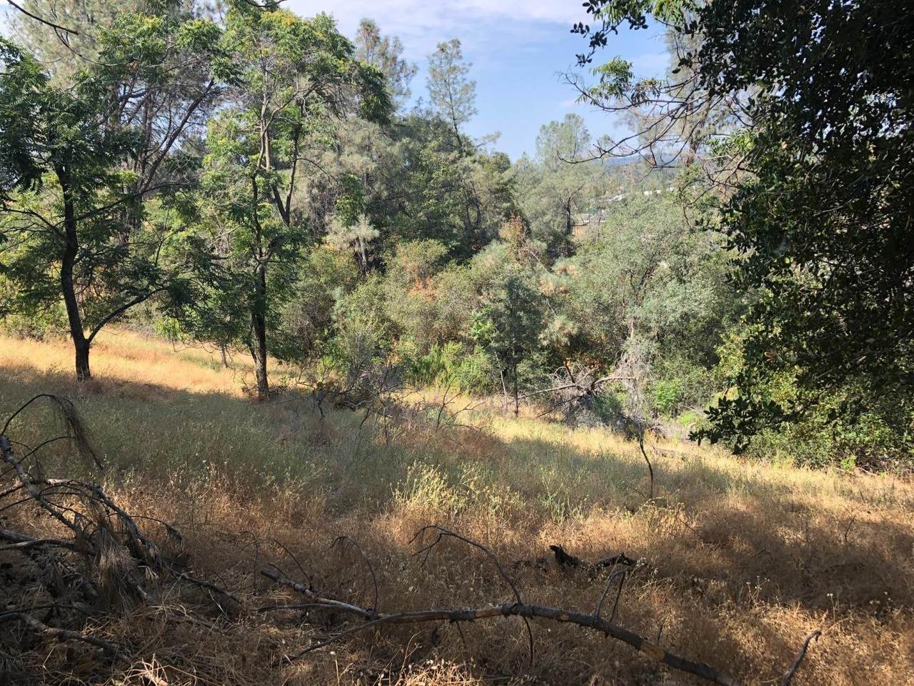 3075 Gold Nugget Way - Photo 1