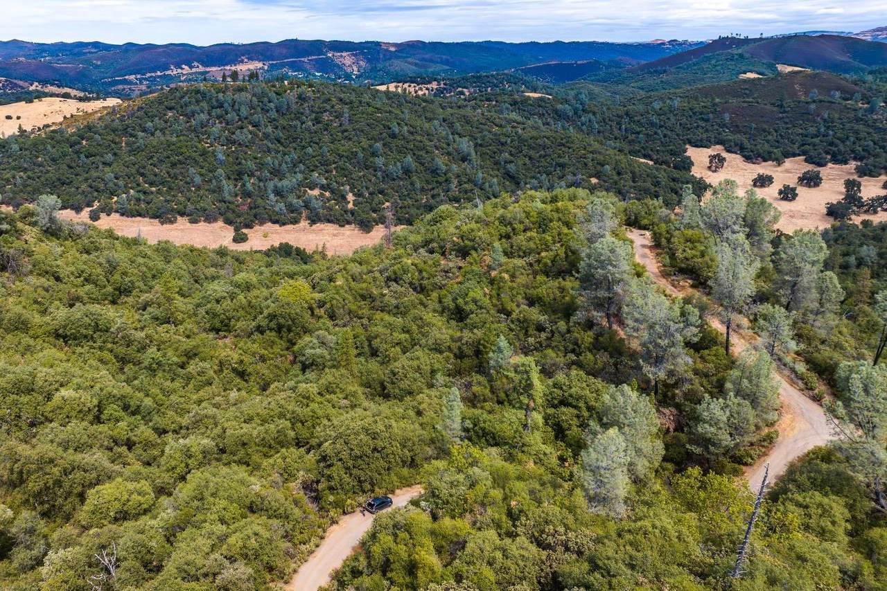 6652 Pappalardo - Photo 1