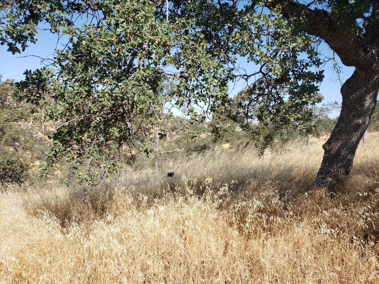 1400 Medina Court - Photo 1