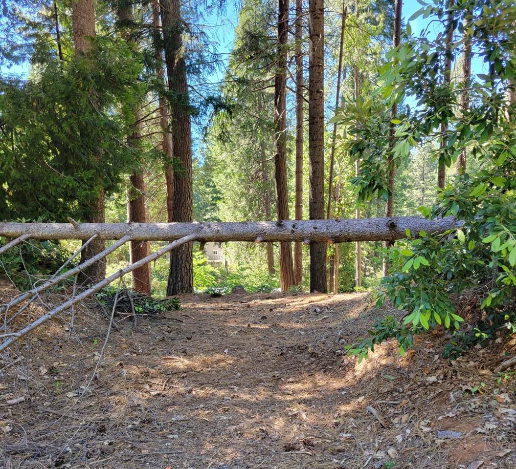 16779 Pasquale Road - Photo 1