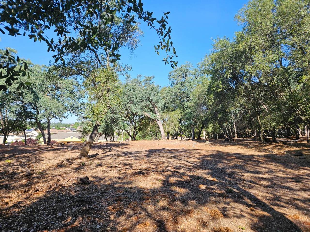 993 Camerado Drive - Photo 1