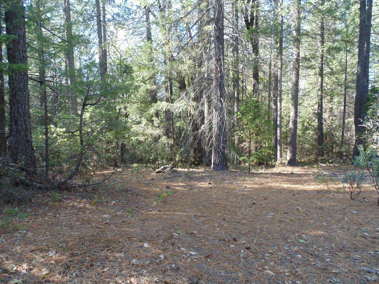 35 Balderson - Photo 1