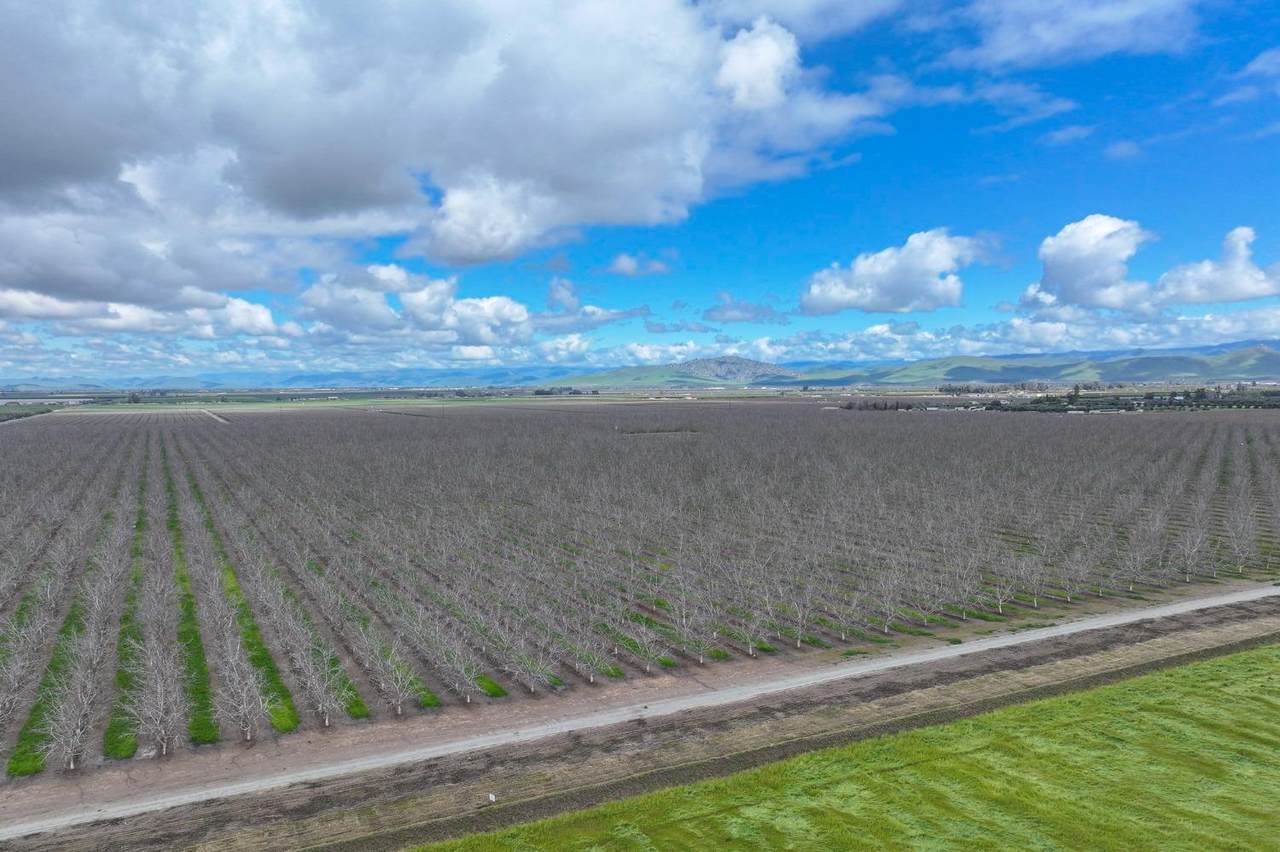 18995 Avenue 232 - Photo 1