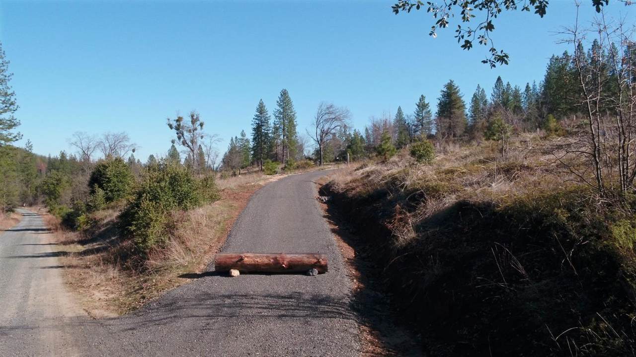 11126 Jordan Creek Road - Photo 1