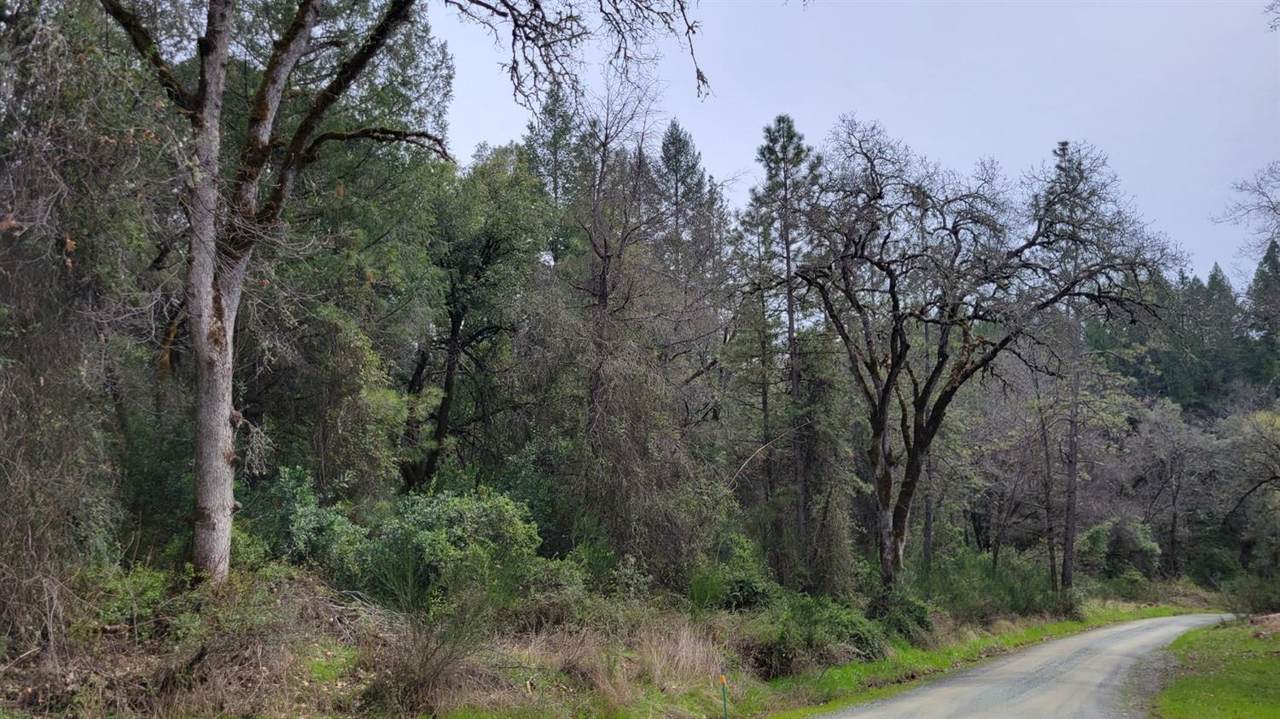 3291 Stage Trail Road - Photo 1