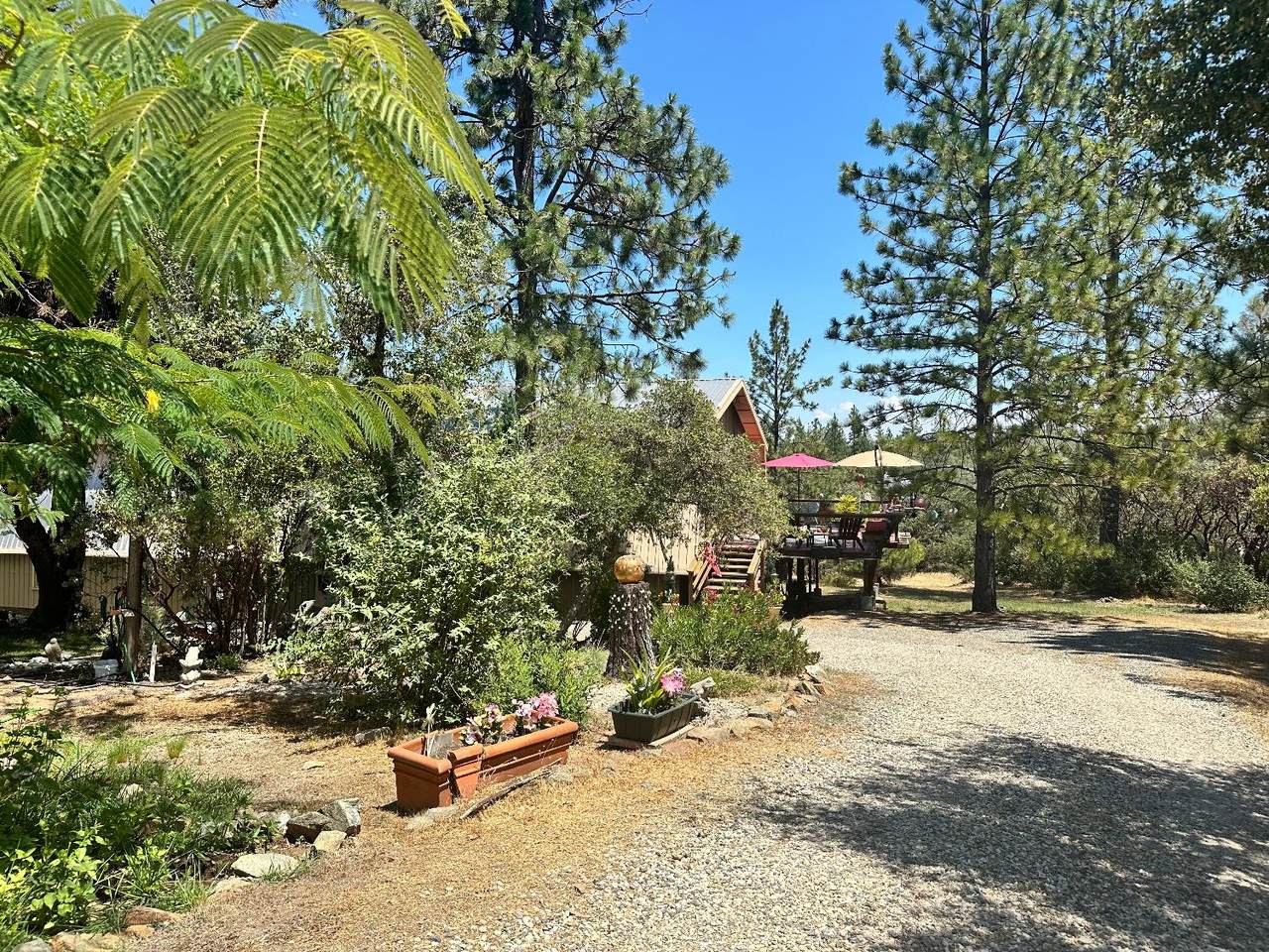 12753 Ponderosa Way - Photo 1