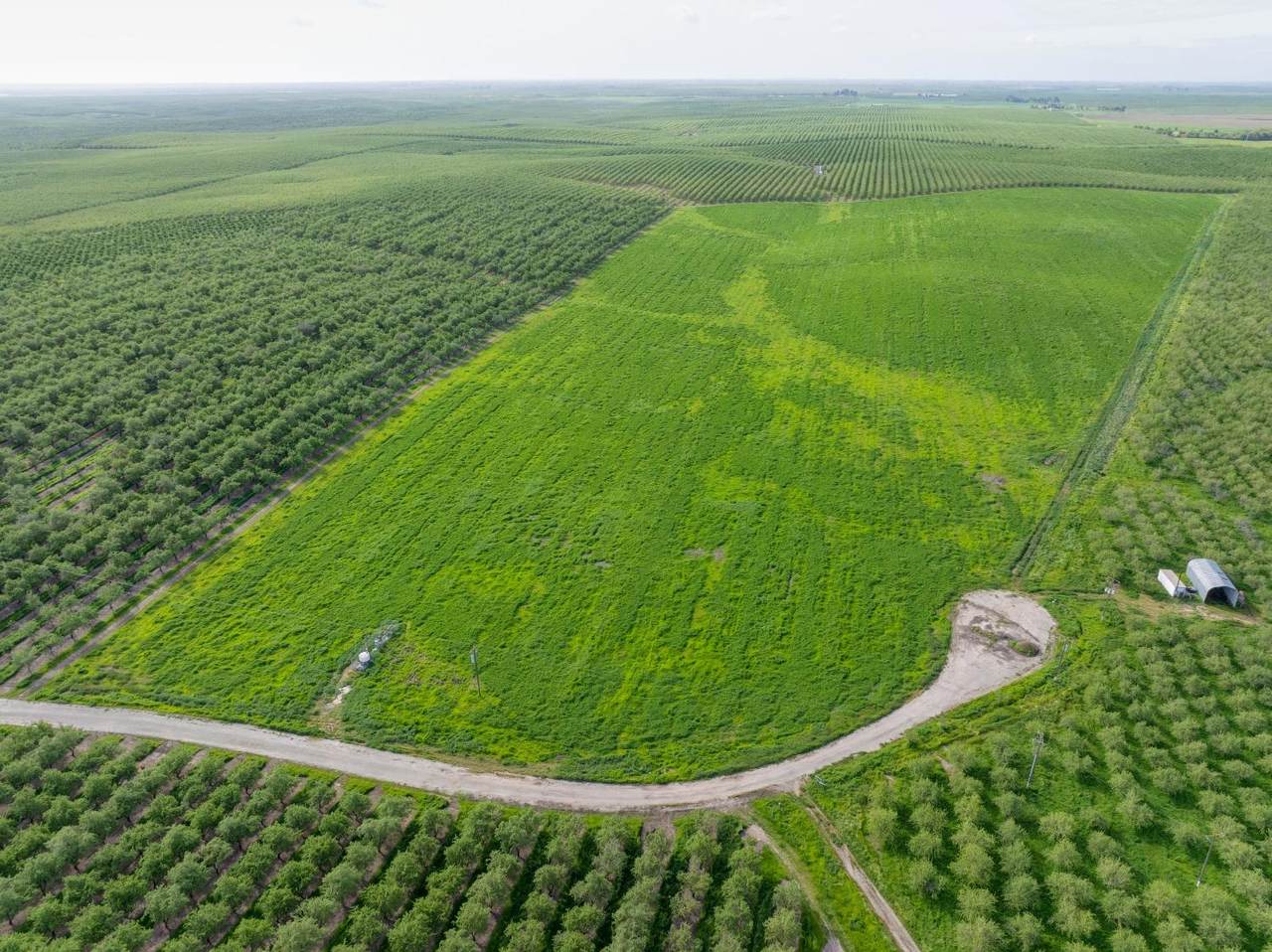 0 Keyes Road - Photo 1