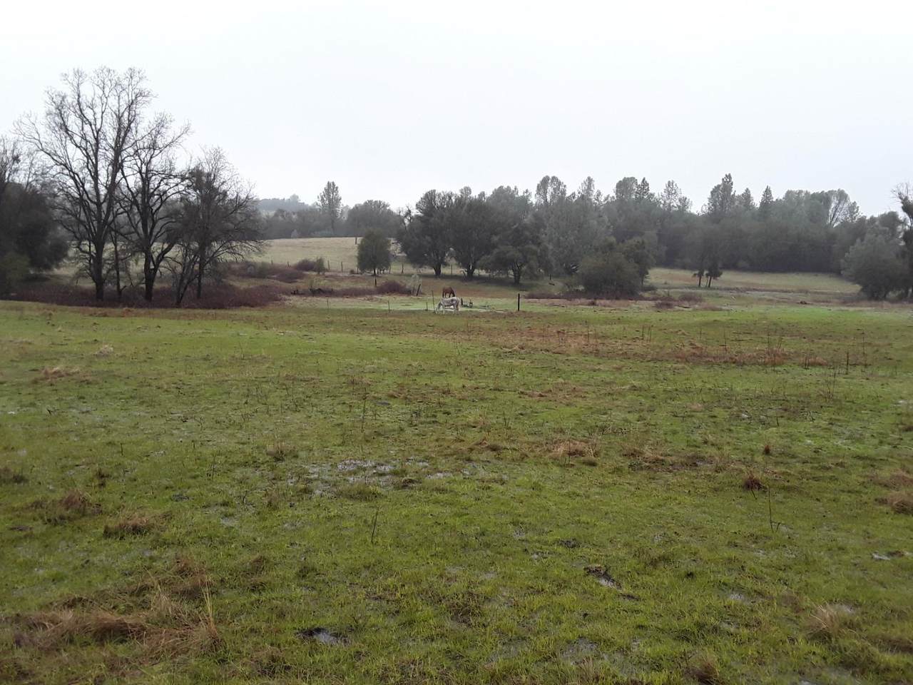 8260 Fairplay Road - Photo 1