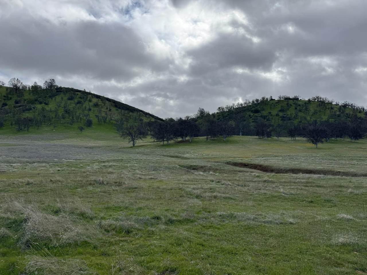 4289 Sites Lodoga Road - Photo 1