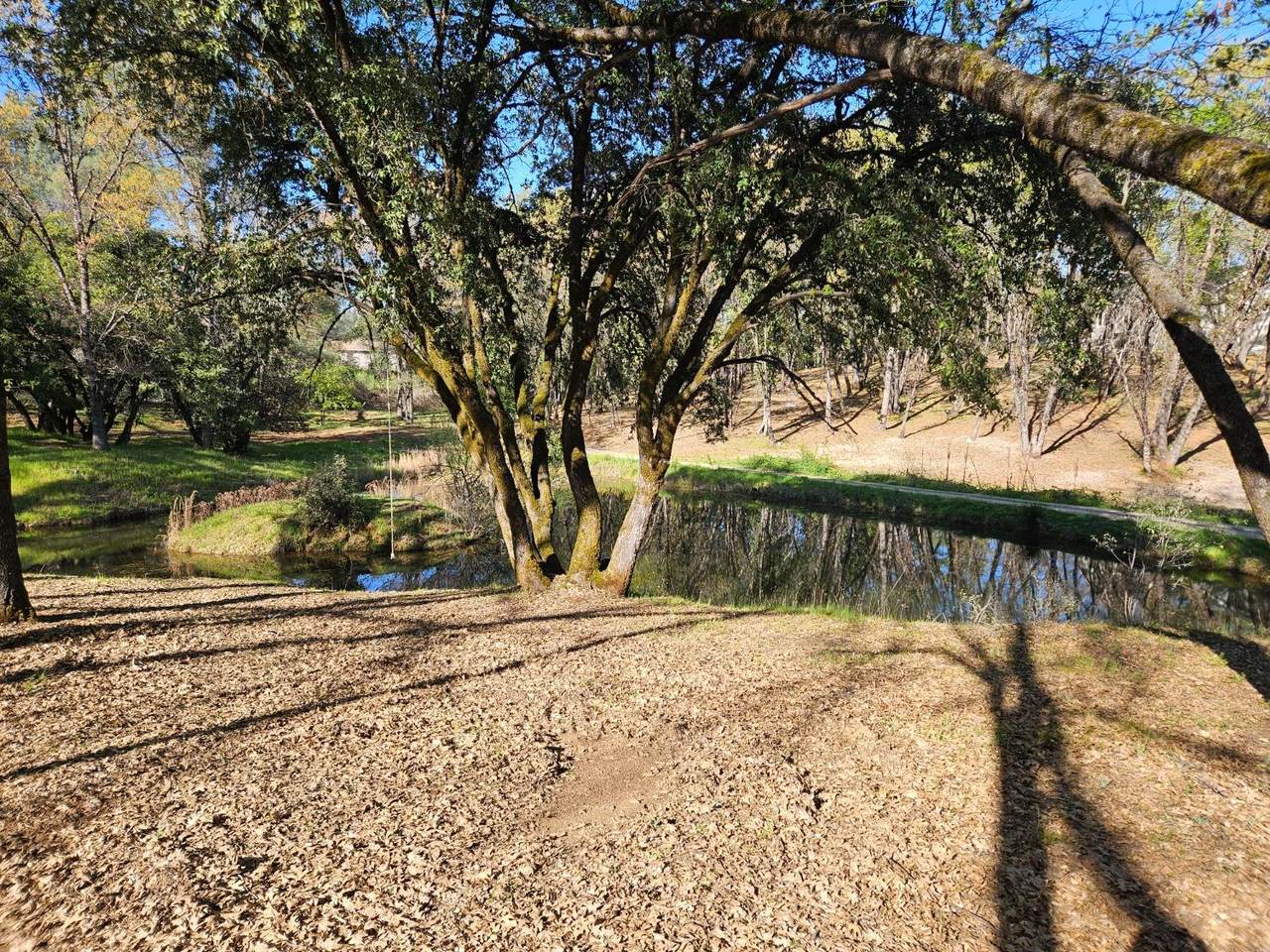 15834 Ladera Lane - Photo 1
