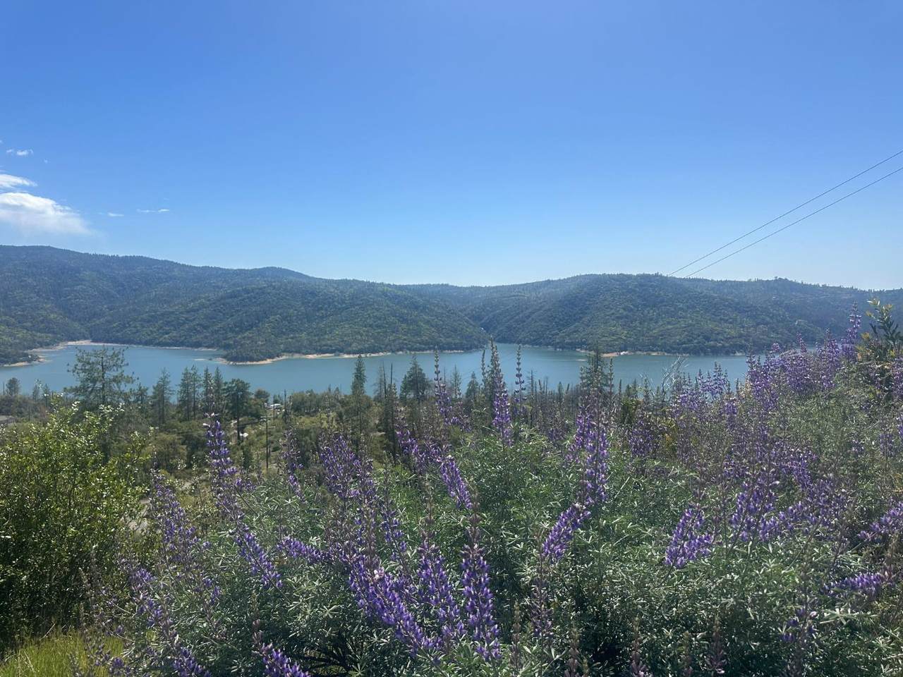 337 Rocky Point - Photo 1