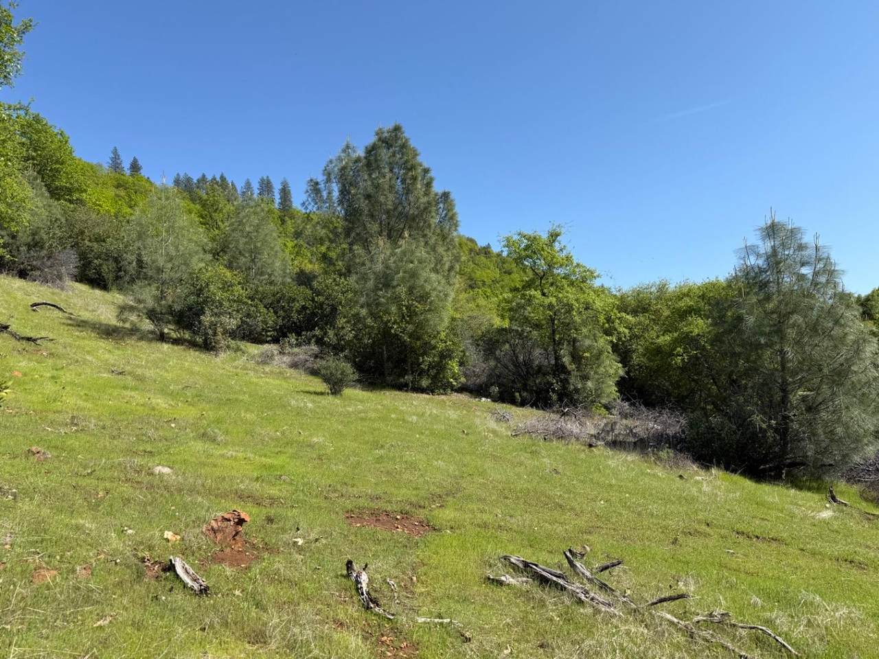 14864 Stage Way - Photo 1