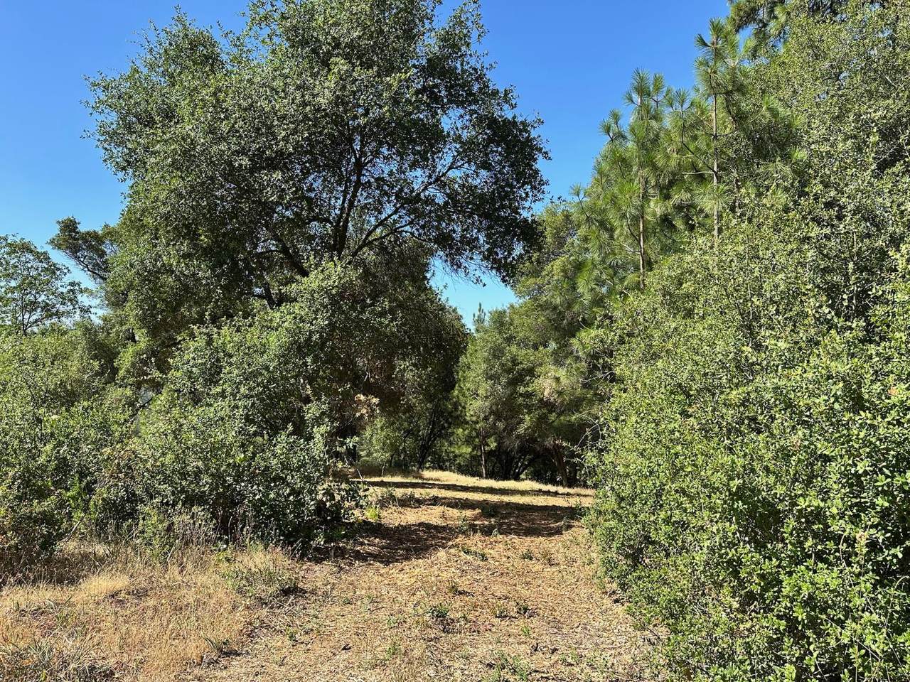 https://bt-photos.global.ssl.fastly.net/sacramento/1280_boomver_1_560840155-2.jpg