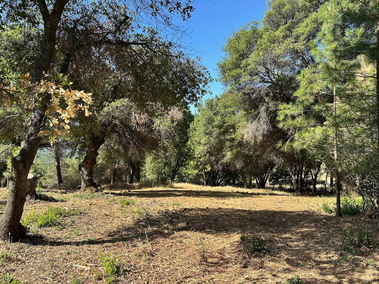 https://bt-photos.global.ssl.fastly.net/sacramento/1280_boomver_1_560840155-2.jpg