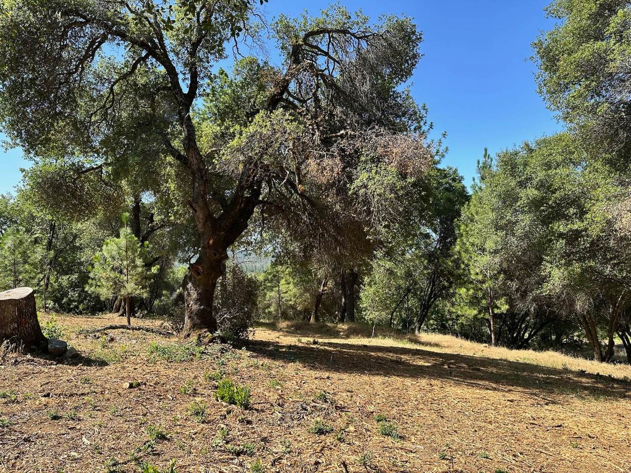 https://bt-photos.global.ssl.fastly.net/sacramento/1280_boomver_1_560840155-2.jpg