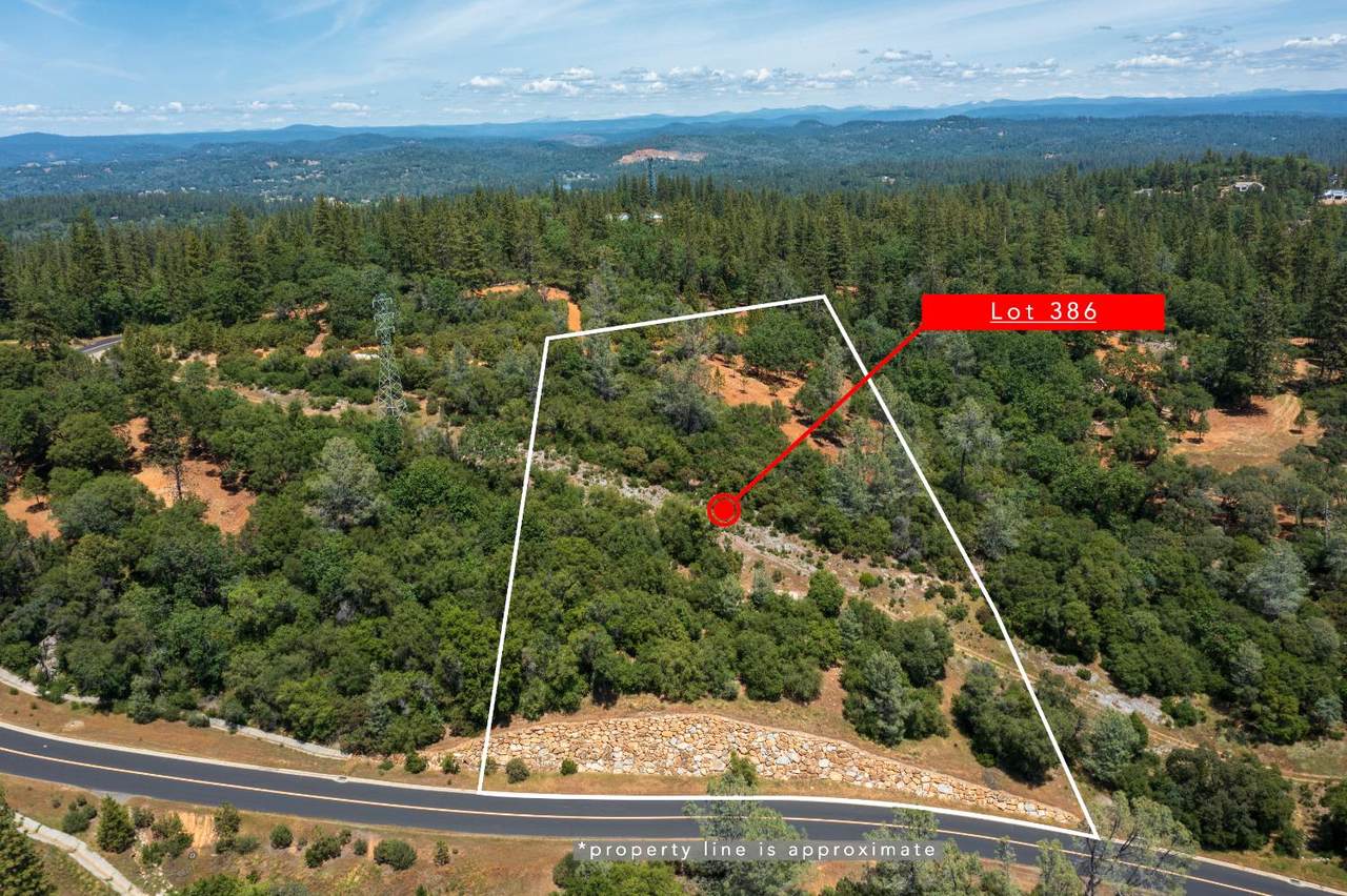 16709 Summit View Drive - Photo 1