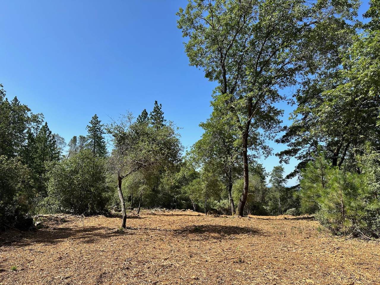 https://bt-photos.global.ssl.fastly.net/sacramento/1280_boomver_1_560840184-2.jpg