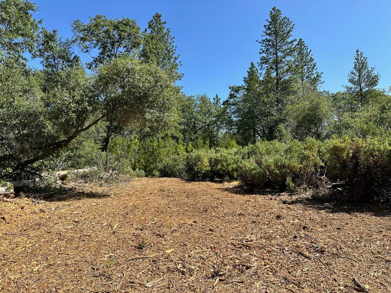 https://bt-photos.global.ssl.fastly.net/sacramento/1280_boomver_1_560840184-2.jpg
