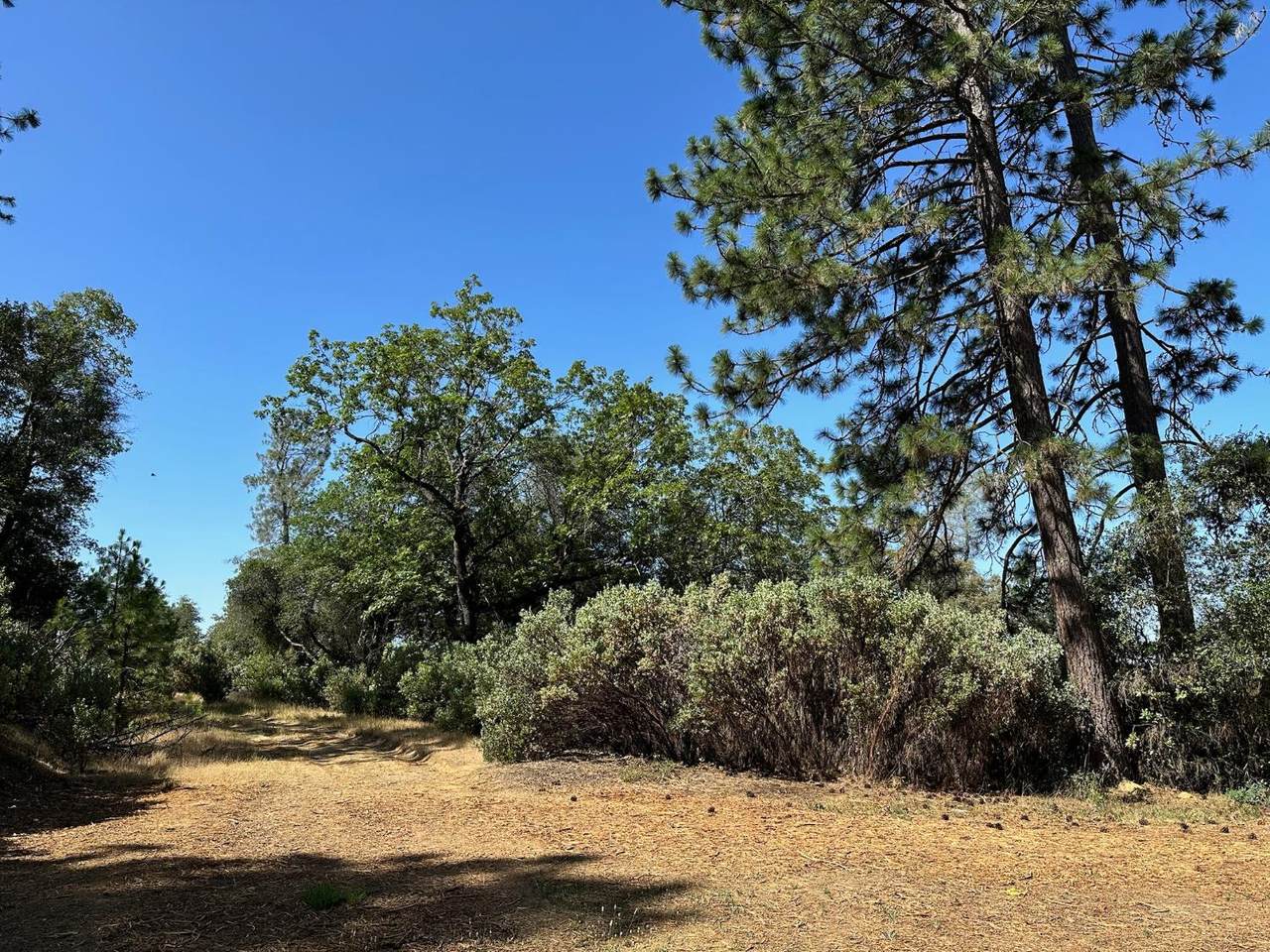 https://bt-photos.global.ssl.fastly.net/sacramento/1280_boomver_1_560840194-2.jpg