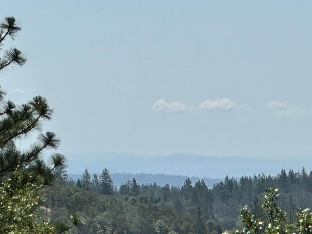 https://bt-photos.global.ssl.fastly.net/sacramento/1280_boomver_1_560840198-2.jpg
