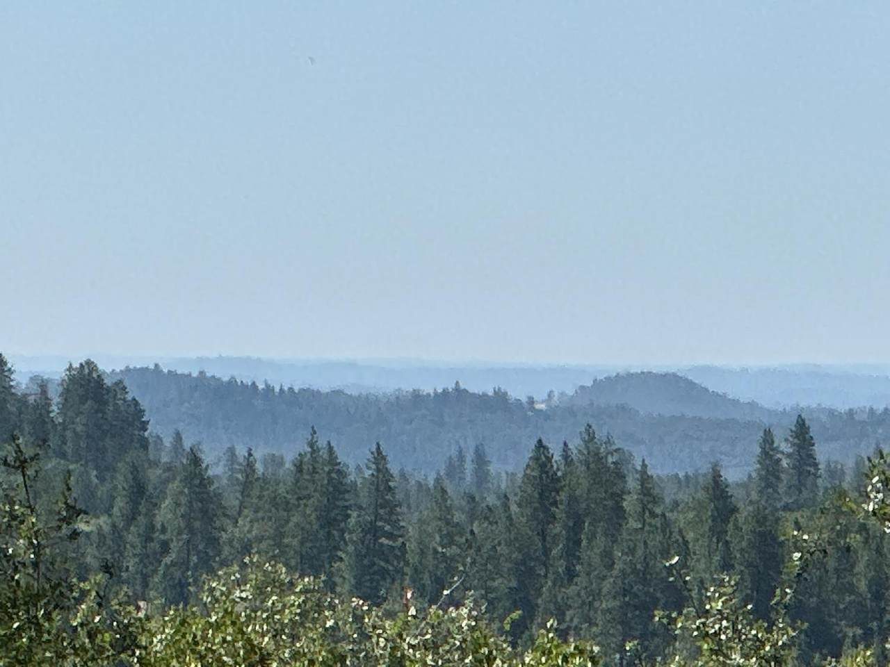 https://bt-photos.global.ssl.fastly.net/sacramento/1280_boomver_1_560840199-2.jpg