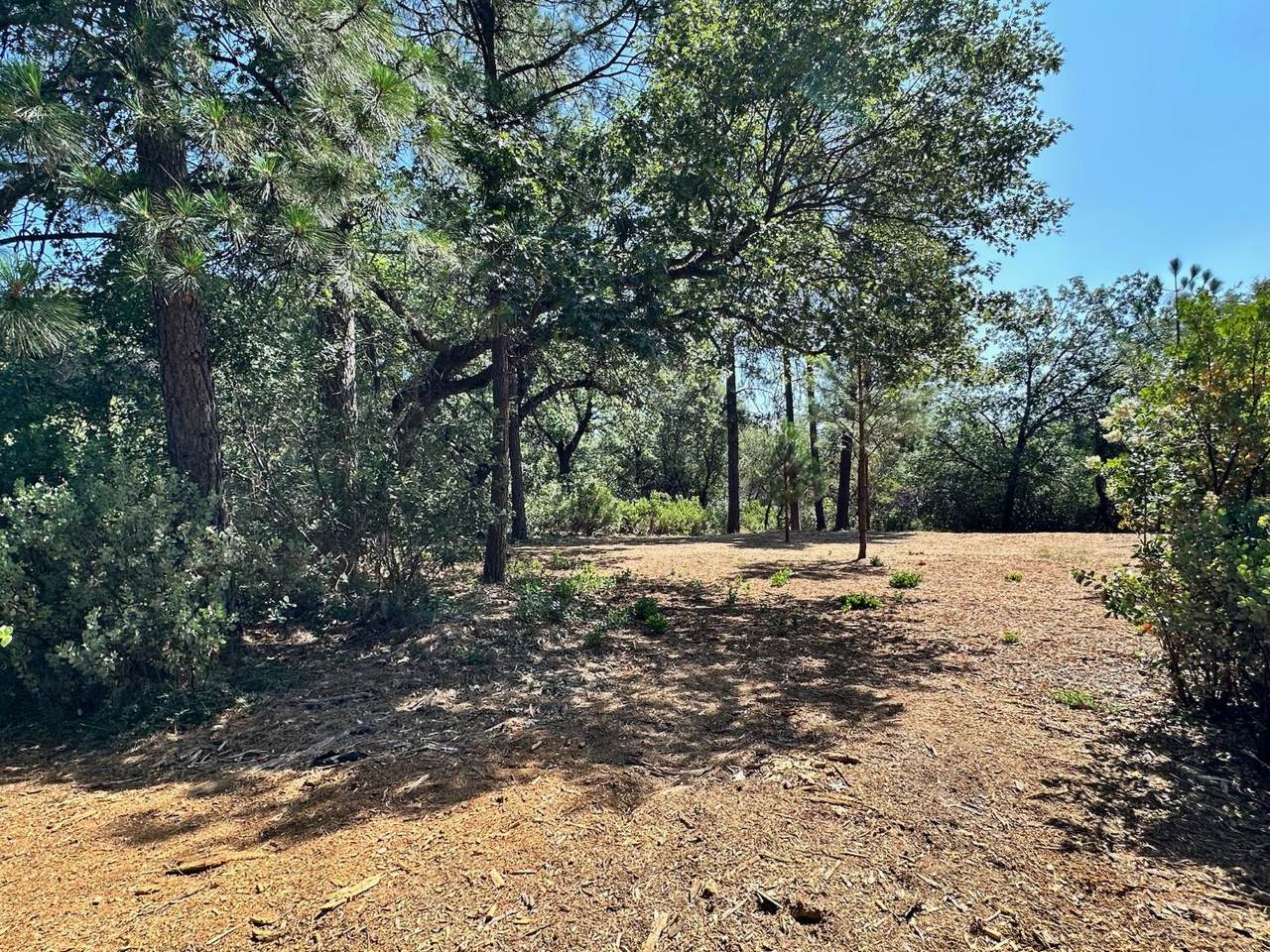 https://bt-photos.global.ssl.fastly.net/sacramento/1280_boomver_1_560840205-2.jpg